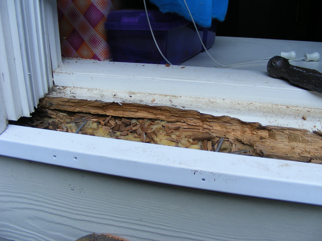 Damaged Window Sills Can Cause Other Damage To Your Home